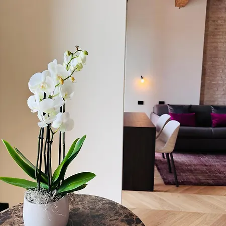 Apartment Palazzo Carpediem-prato Della Valle *